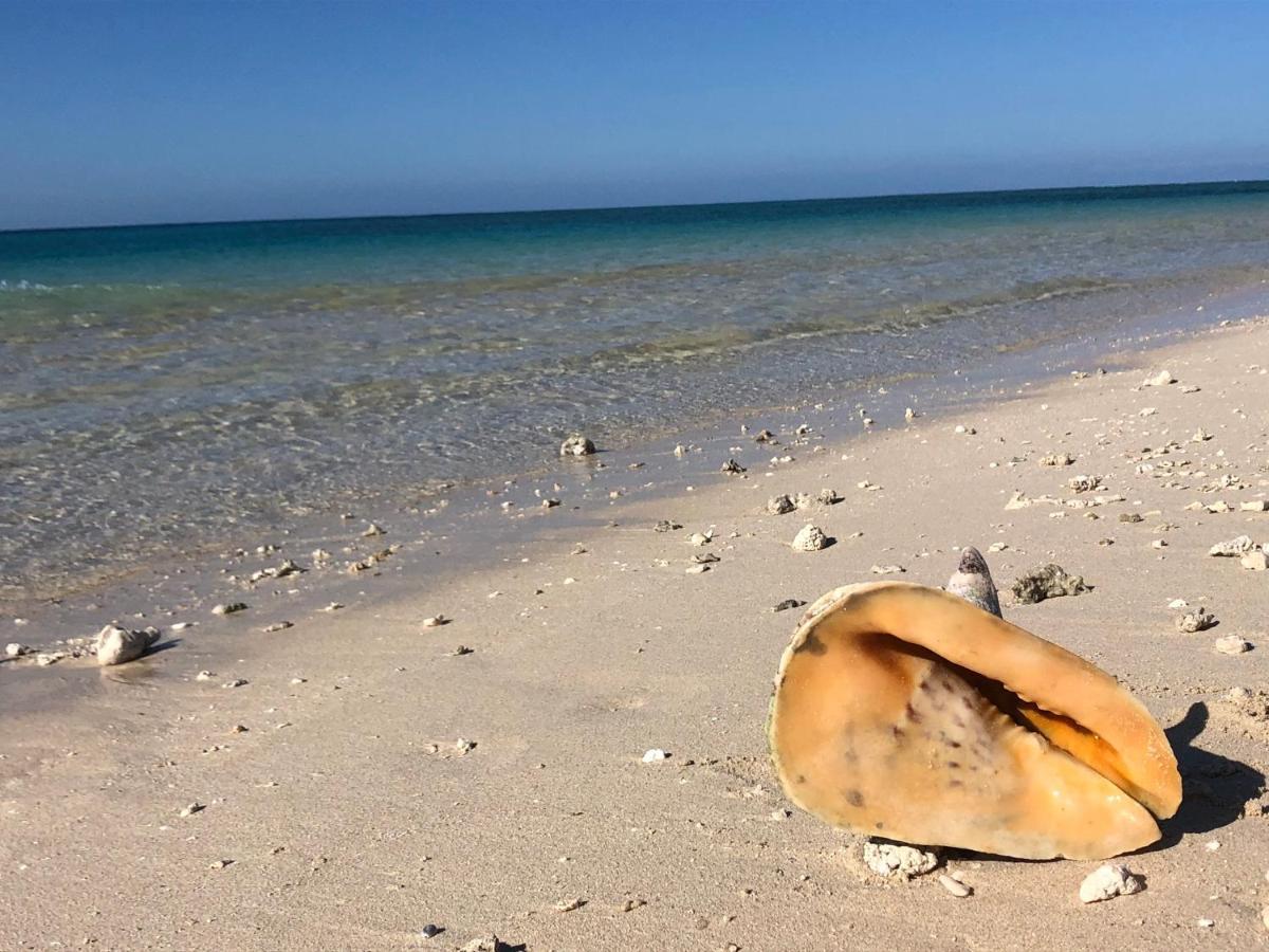 Emayani Beach LodgePangani エクステリア 写真