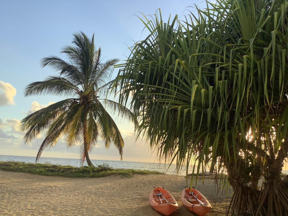 Emayani Beach LodgePangani エクステリア 写真