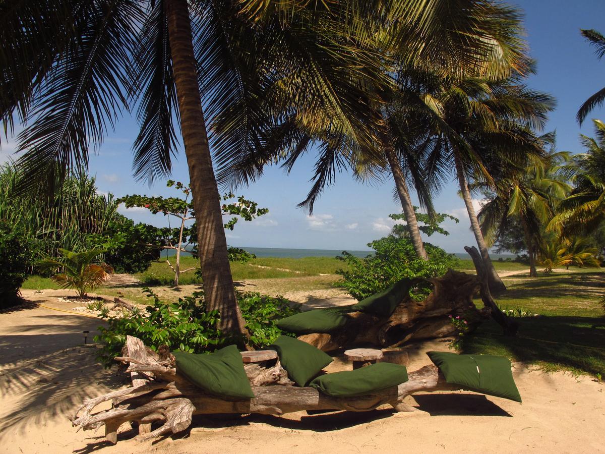 Emayani Beach LodgePangani エクステリア 写真