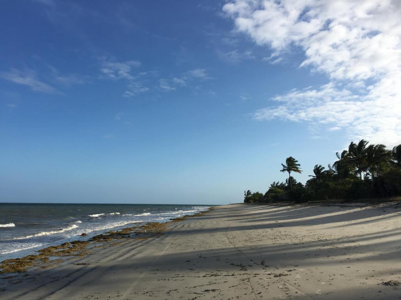 Emayani Beach LodgePangani エクステリア 写真