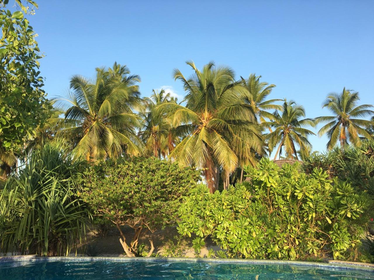 Emayani Beach LodgePangani エクステリア 写真